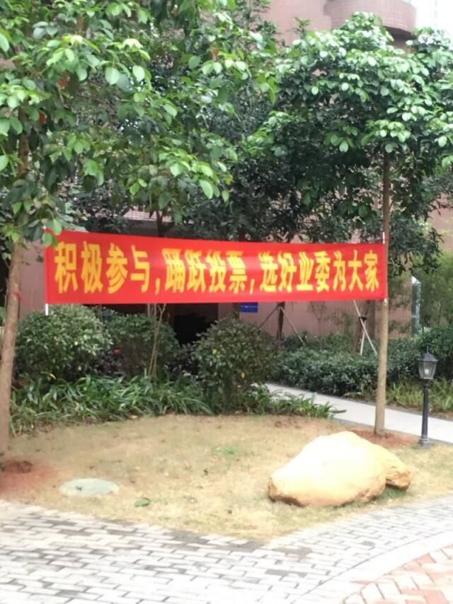 业主同心协力，宣传参选业委会